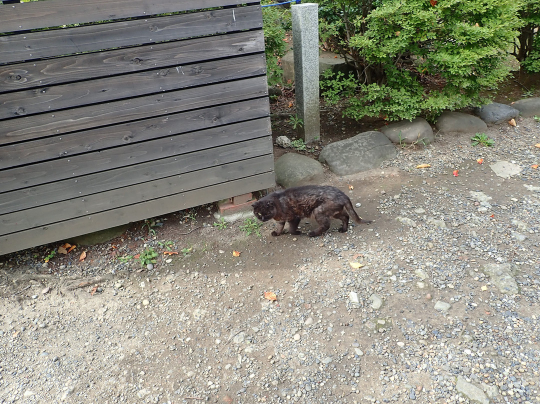 Orihime Shrine-市川市必去景点