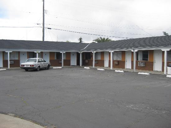 Safari Motel