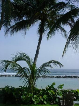 Dorado Beach, A Ritz-carlton Reserve-多拉多必去景点