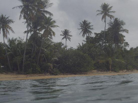 Green Beach-维切克岛必去景点