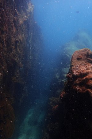 Scuba Diving Pattaya景点图片