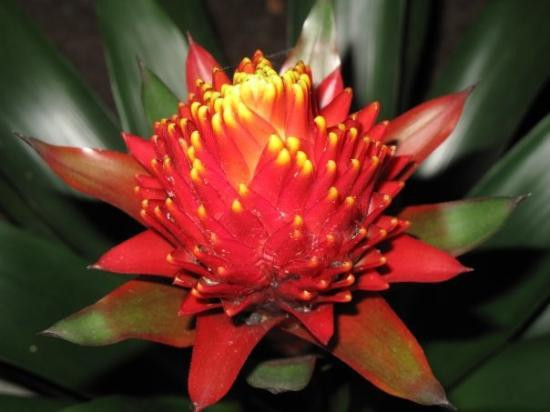 海龟湾度假村高尔夫球场-卡胡库必去景点