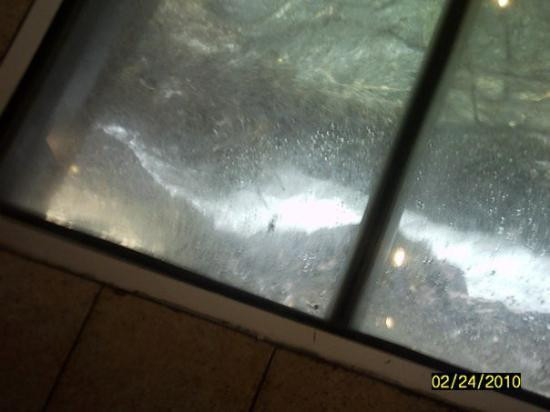 Wulff Castle-比尼亚德尔马必去景点