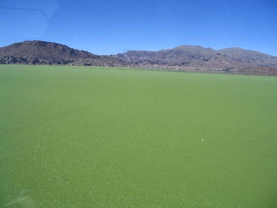 Lake Titicaca-普诺大区必去景点