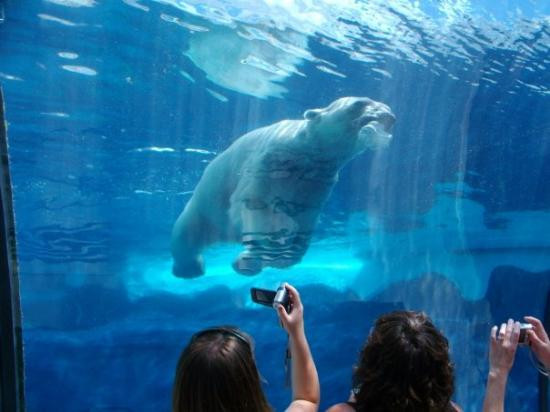 Detroit Zoo-罗亚尔奥克必去景点