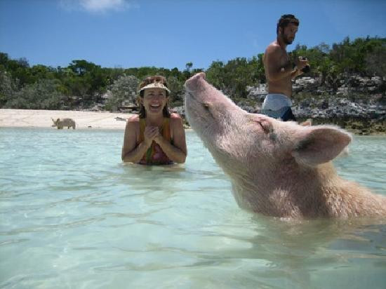 Exuma Cays Land and Sea Park-大埃克苏马必去景点