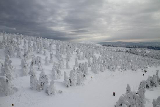 Yamagata Zao Onsen Ski Resort景点图片