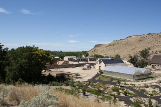 Idaho Botanical Garden-博伊西必去景点