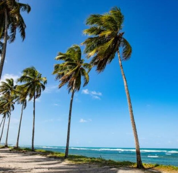 Praia do Paiva-Cabo de Santo Agostinho必去景点