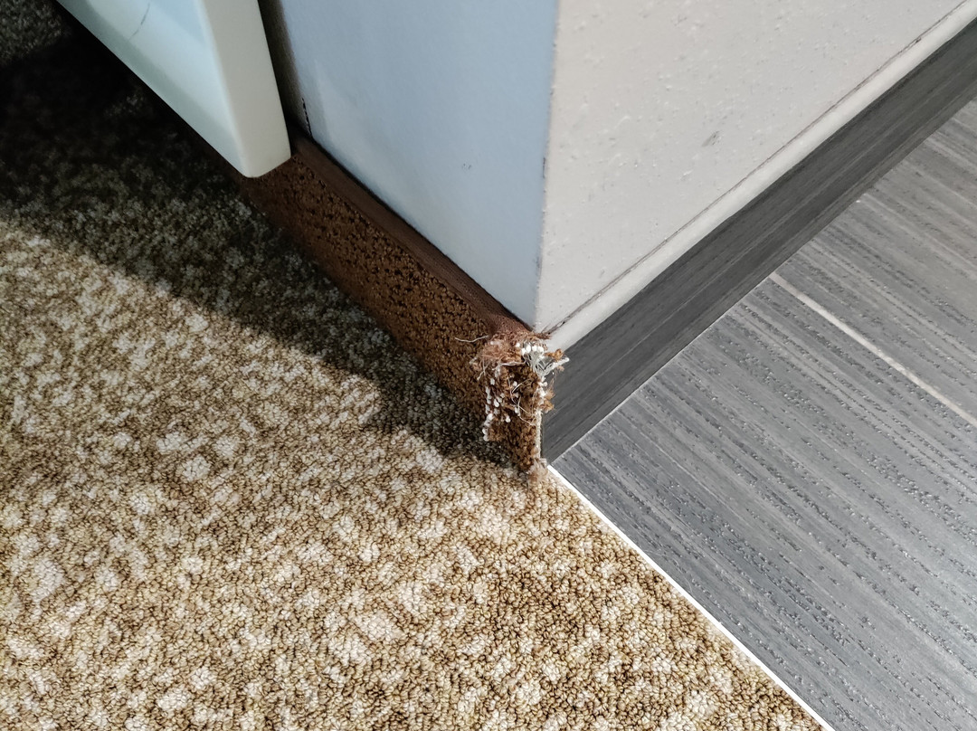 Home2 Suites by Hilton El Reno主图