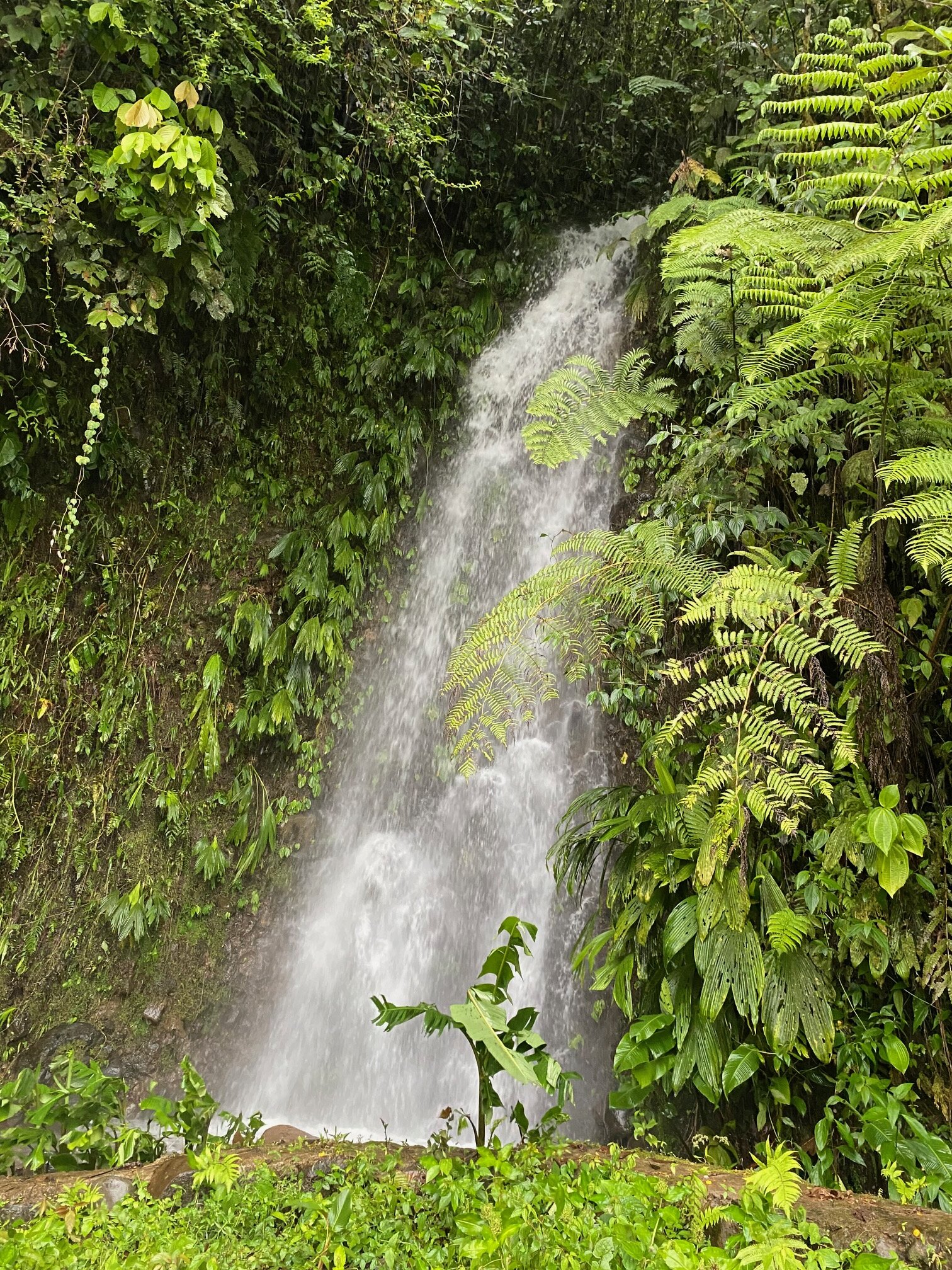Kapari Natural Lodge & Spa-浴室