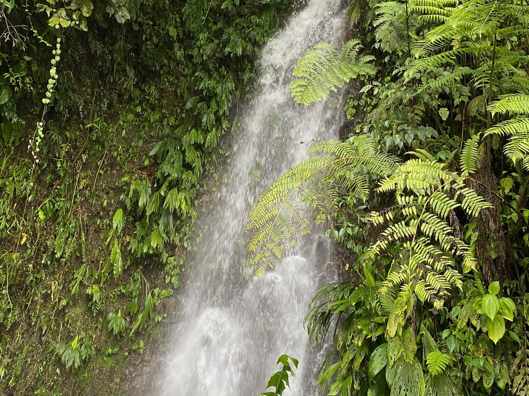 Kapari Natural Lodge & Spa主图