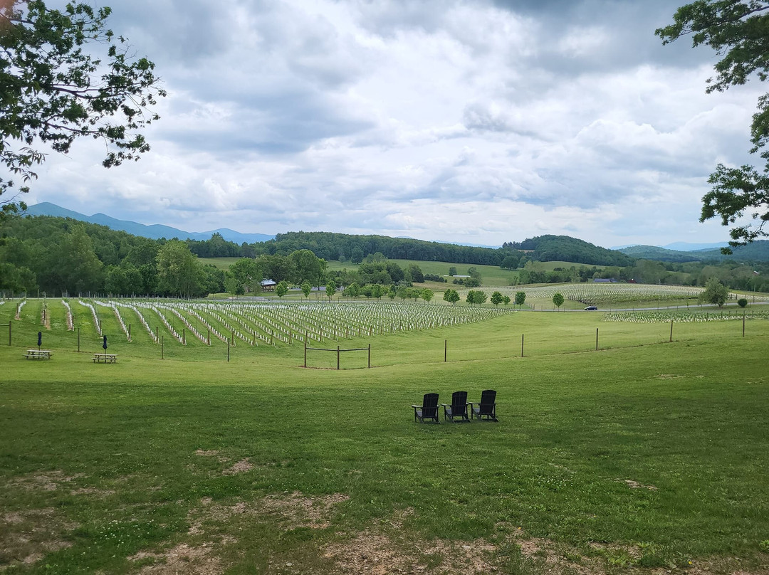 Ecco Adesso Vineyards-Fairfield必去景点