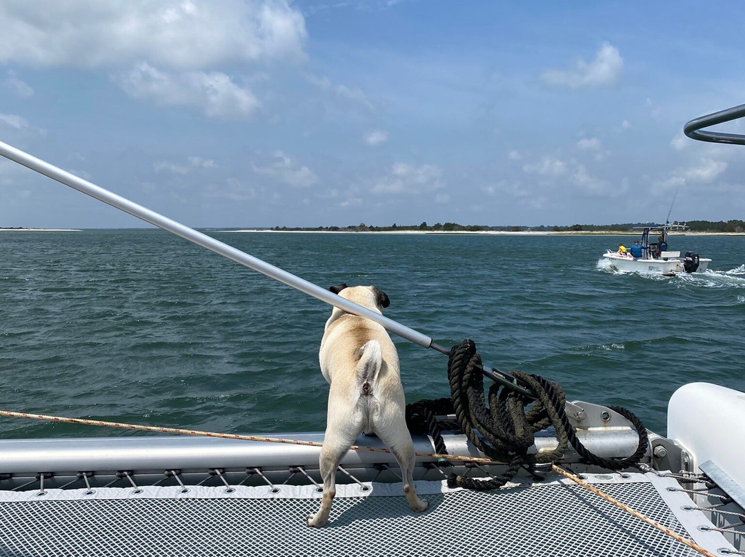 Cruising with La Cruz-赖茨维尔比奇必去景点