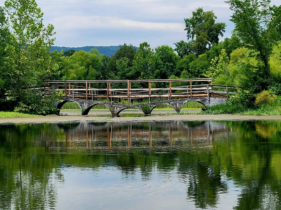 Cove Lake State Park景点图片