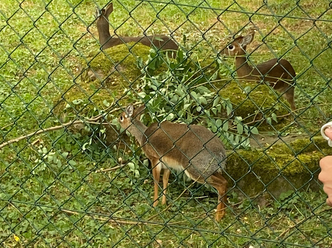 Zoo Duisburg景点图片
