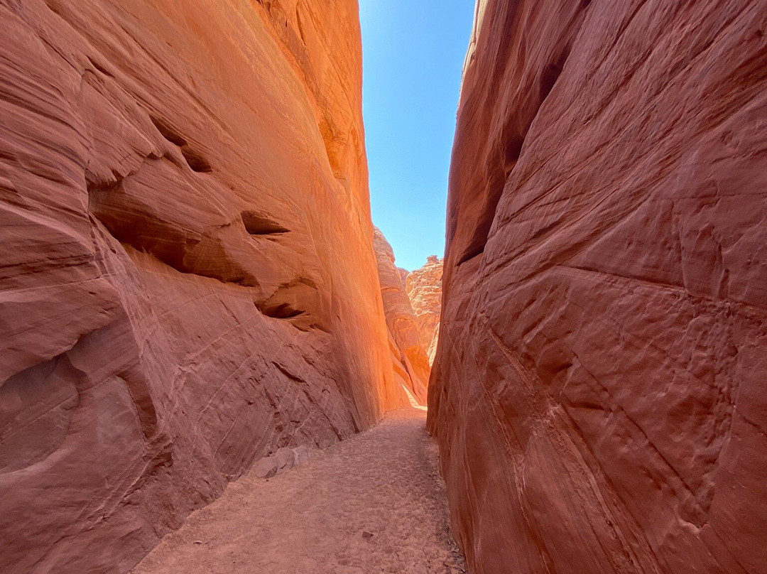 Kayak Lake Powell - Rentals and Day Tours景点图片