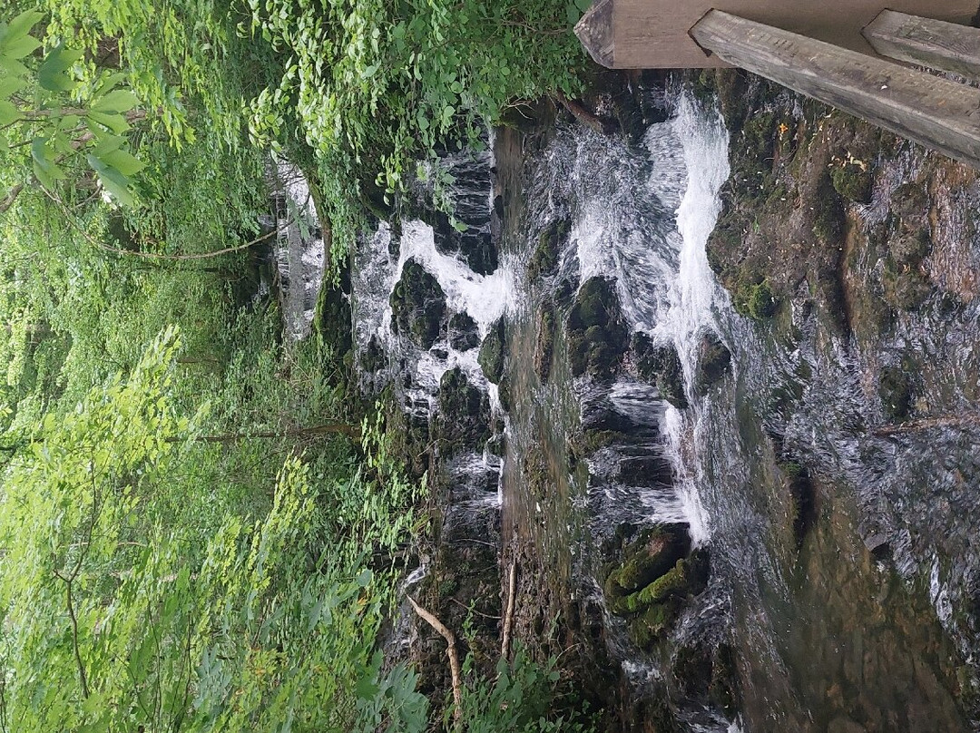 Mill Springs Mill Park-Monticello必去景点