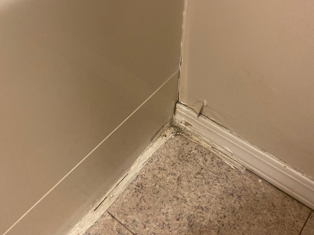 Cactus Tree Inn主图