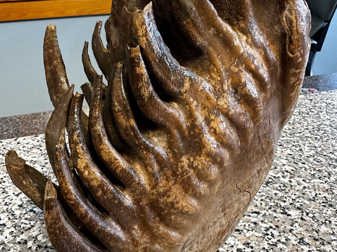 Alaska Galleries-凯奇坎必去景点