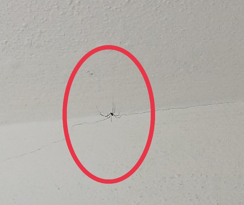 Monte Da Serralheira主图