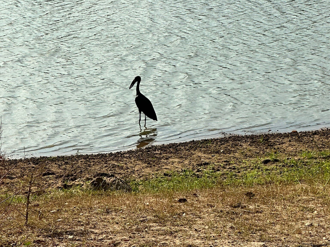 Eden Tours and Travel-桑给巴尔岛必去景点