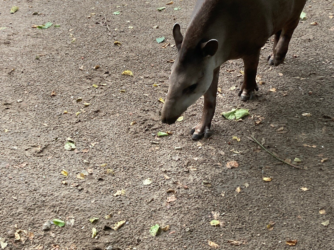 Tierpark Gettorf景点图片