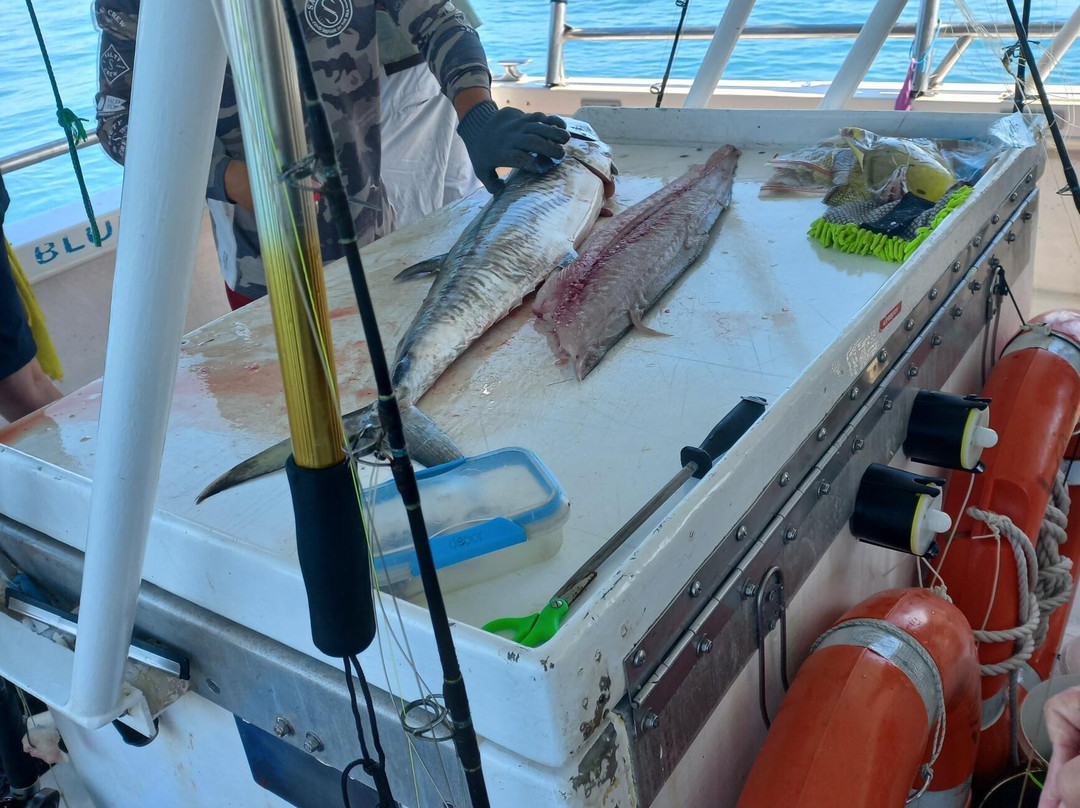 Arafura Bluewater Charters-达尔文市必去景点