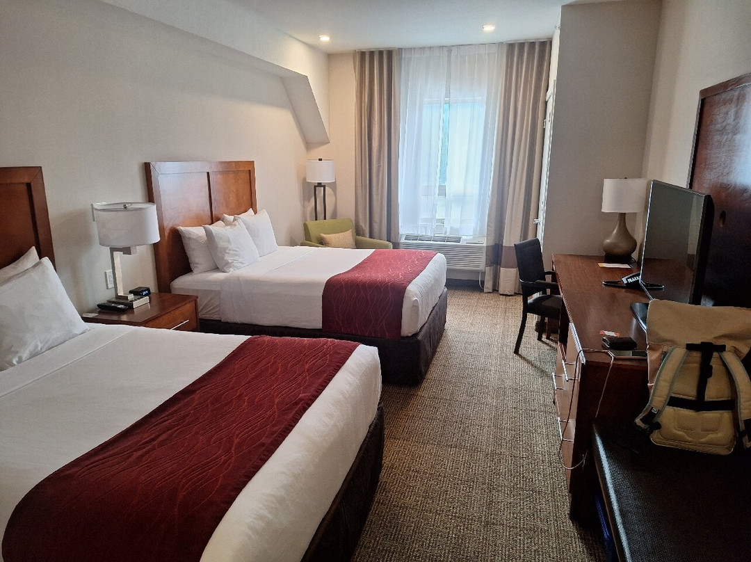 Comfort Inn & Suites主图