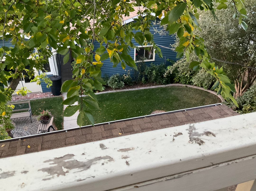 Phoenix House B&B主图