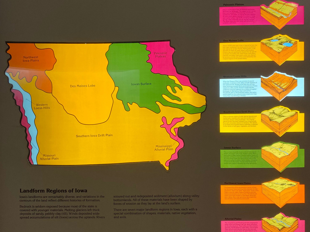 Museum of Natural History-爱荷华城必去景点