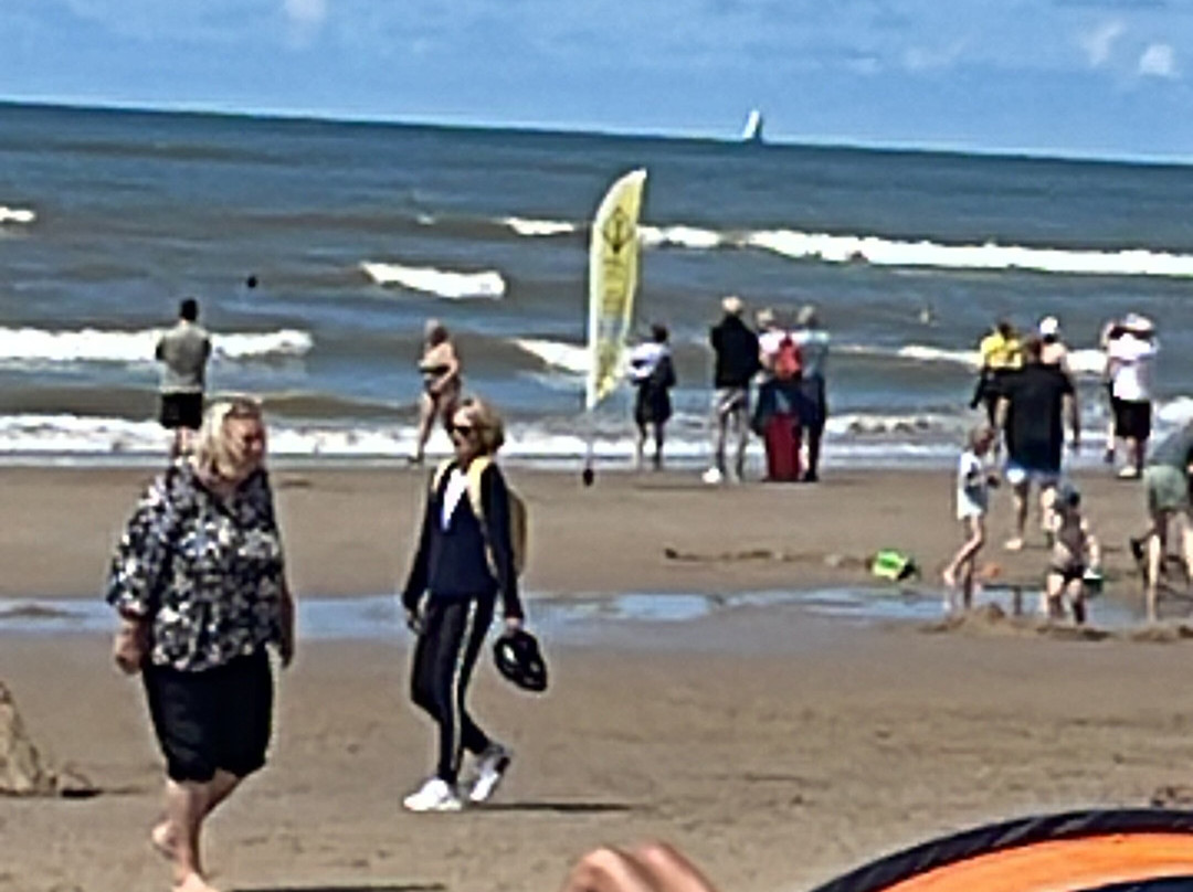 Strand Egmond aan Zee景点图片