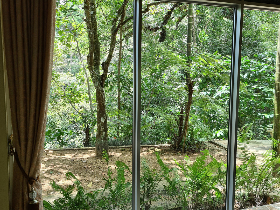 Sinharaja Kurulu Ella Eco Resort主图