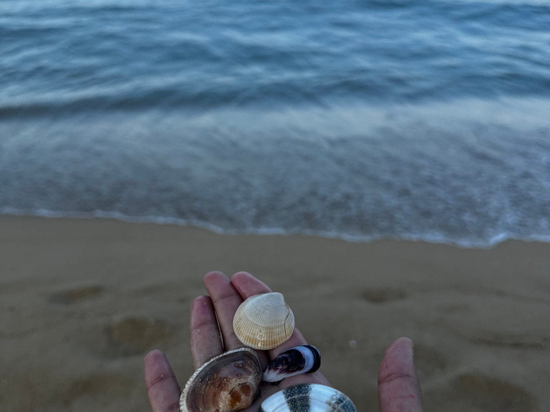 Samcheok Beach-三陟市必去景点