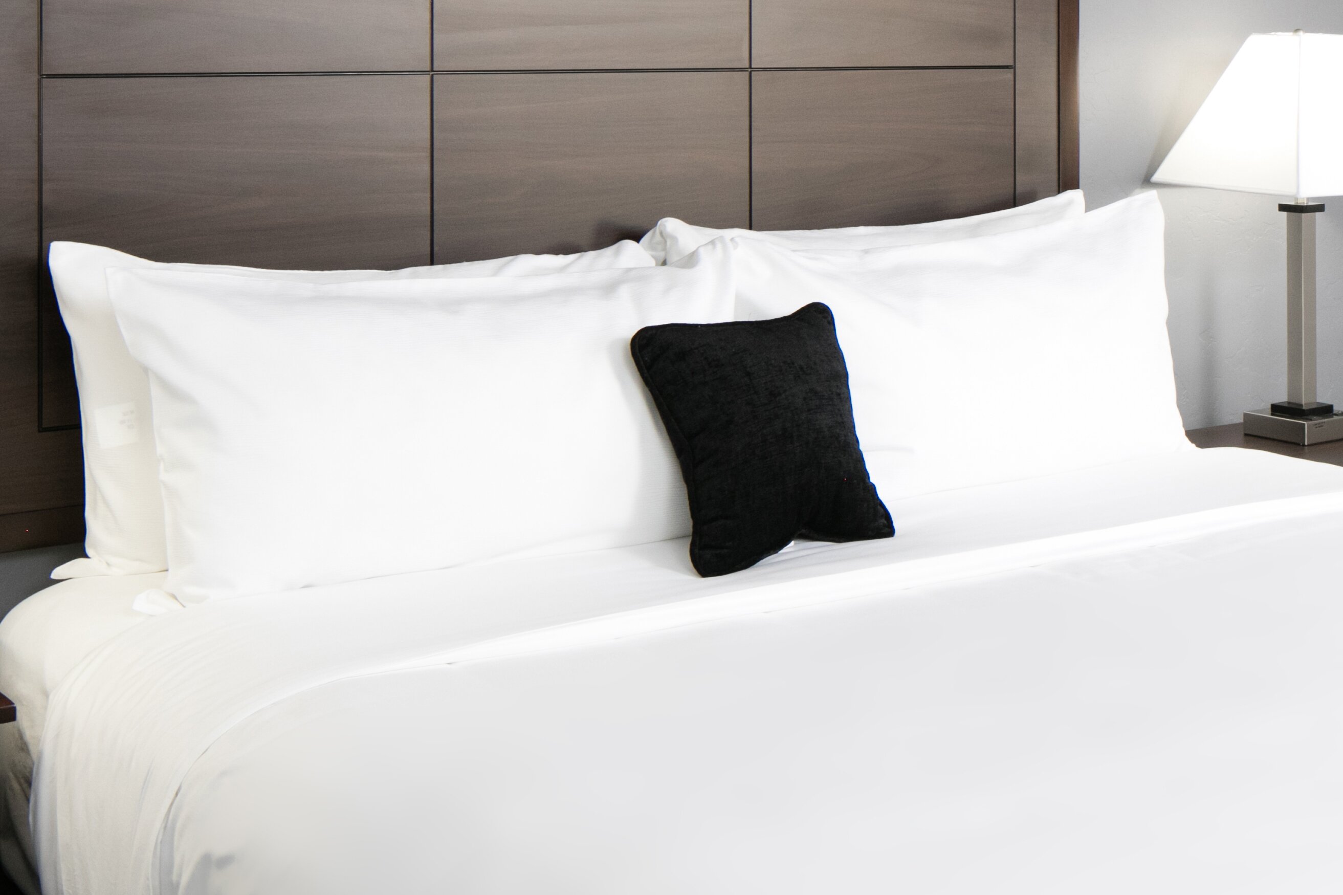 Red Lion Inn & Suites Blue Springs-客卧