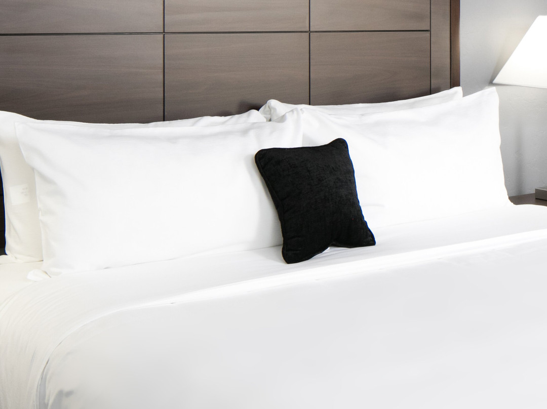 Red Lion Inn & Suites Blue Springs主图