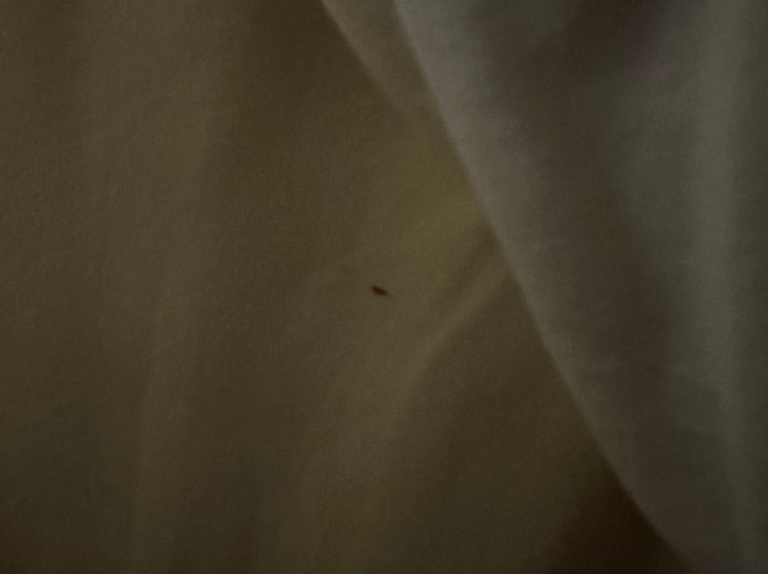 Fairfield Inn & Suites Columbus OSU主图