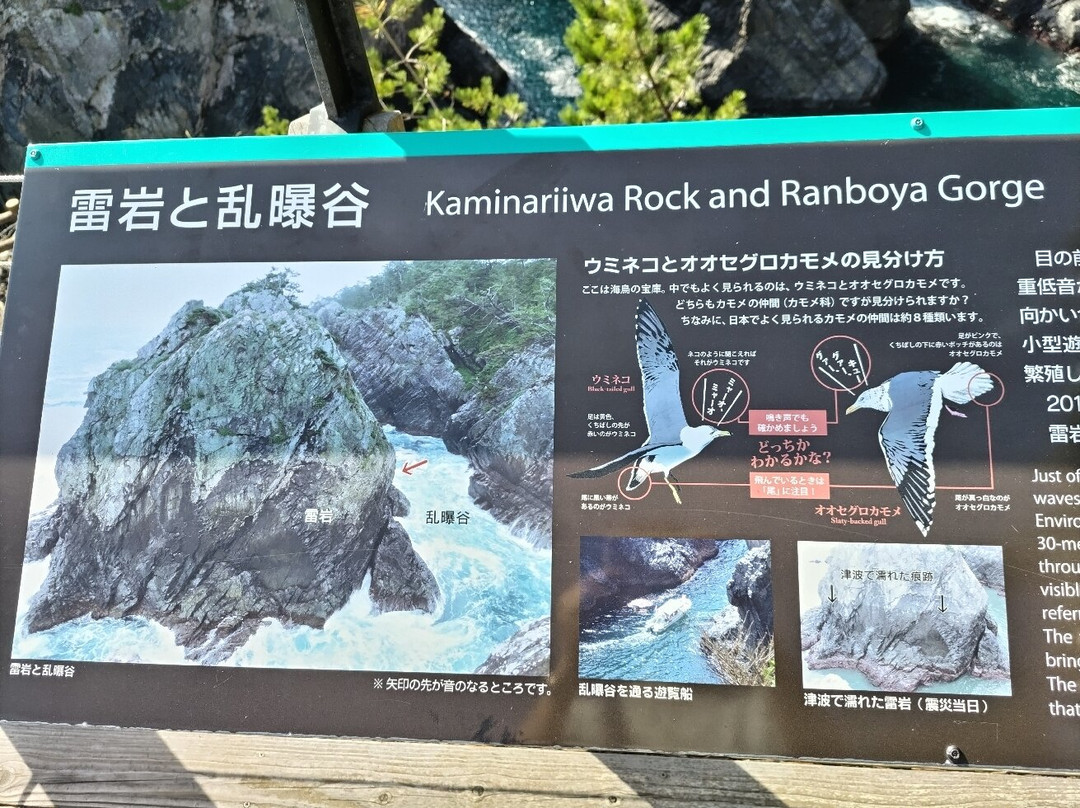 Goishi Kaigan Beach-大船渡市必去景点