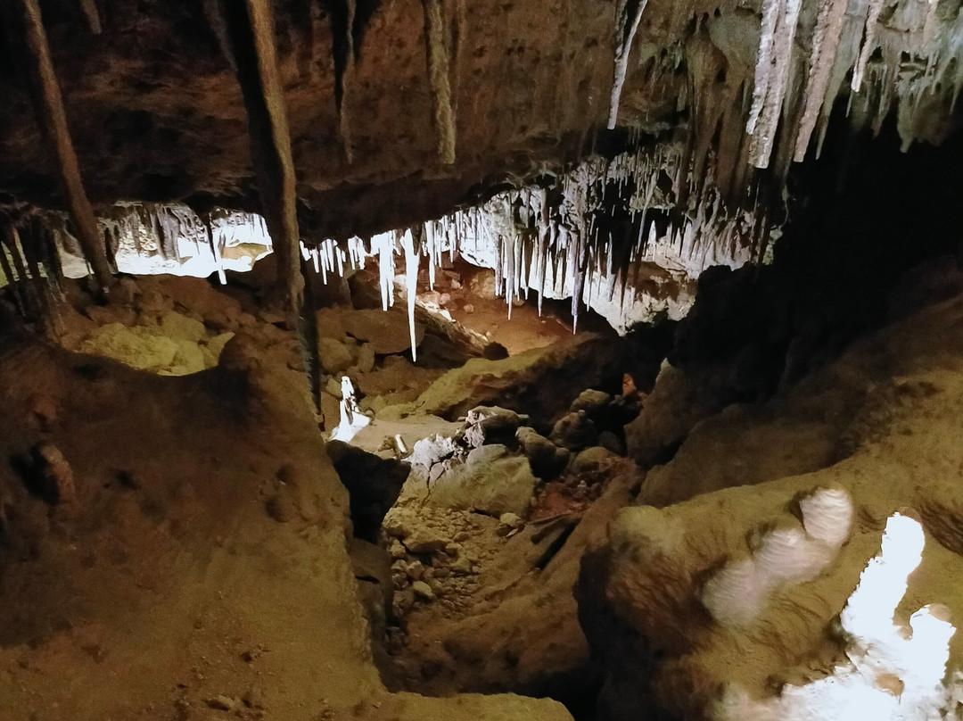 Wonambi Fossil Centre-Naracoorte必去景点