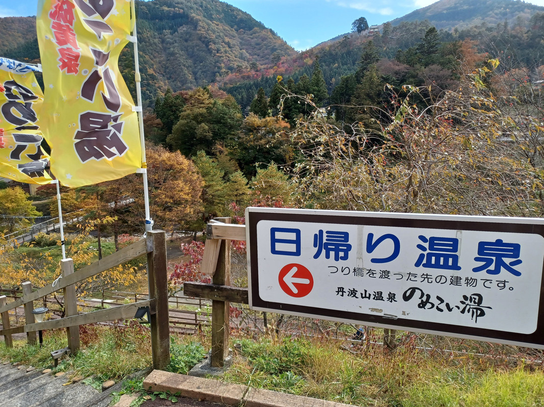 Tambayama Onsen Nomekoiyu景点图片