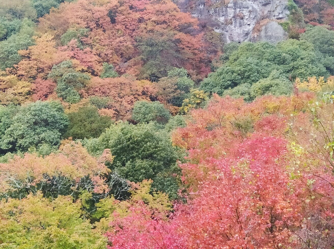 Kankakei Ropeway景点图片
