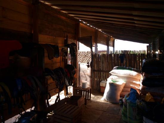 Jericoacoara Stables-杰里科科拉必去景点