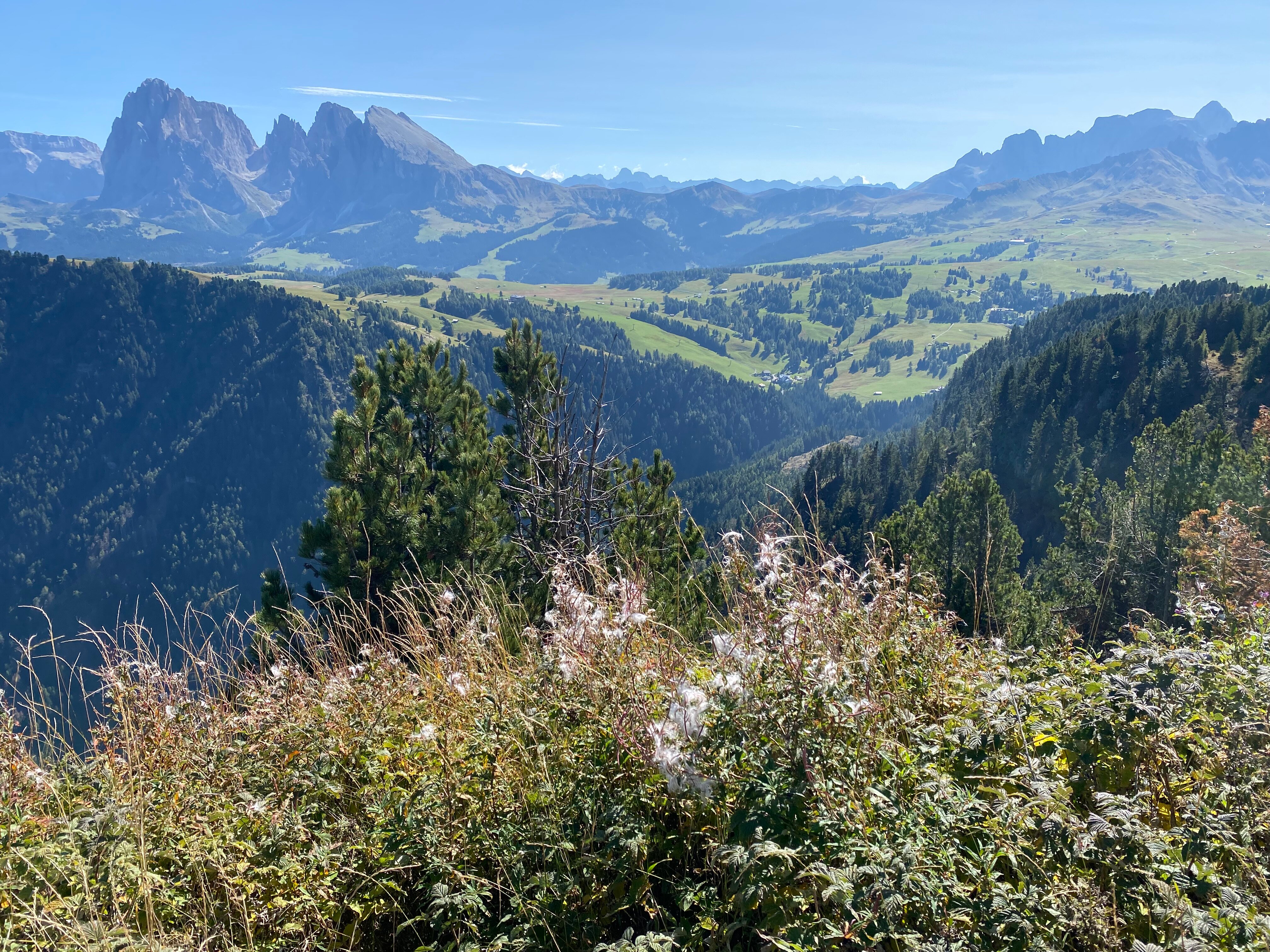 西瑟阿尔姆康帕特思酒店-官方
