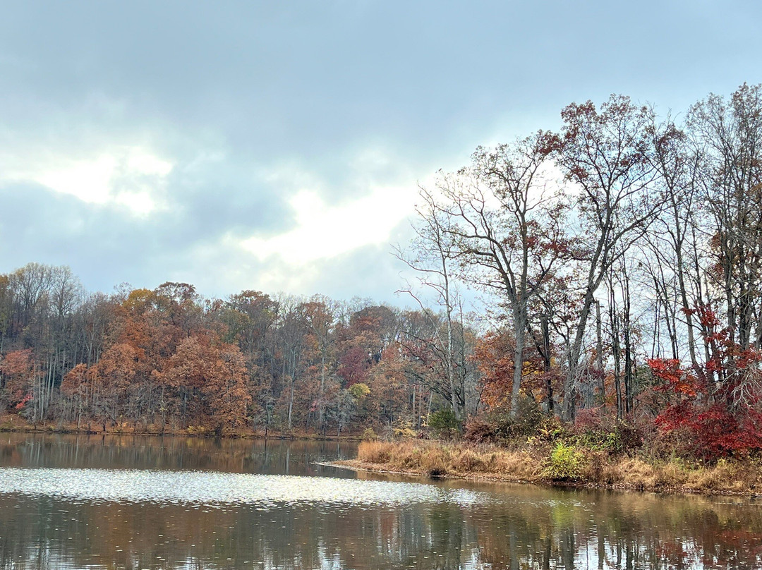 Rock Creek Regional Park-罗克维尔必去景点