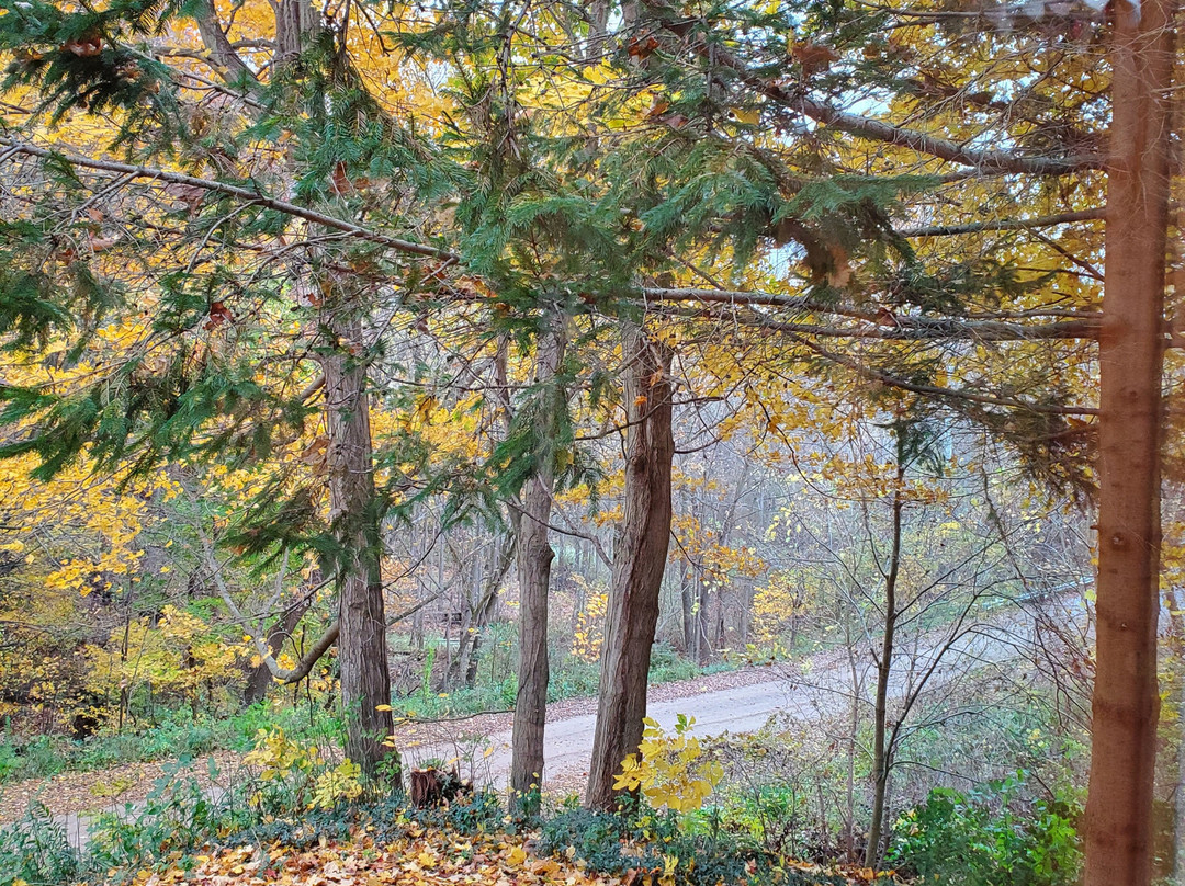 Black River Inn B&B主图