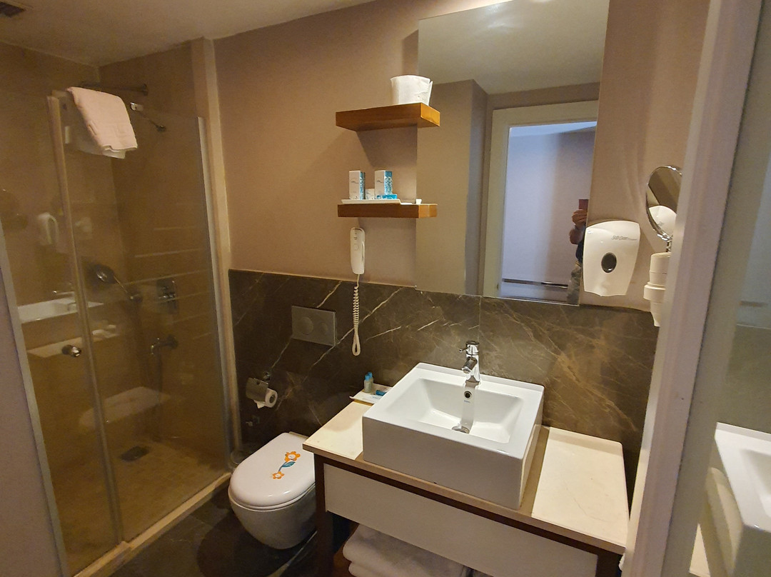 Alba Ankara Hotel主图