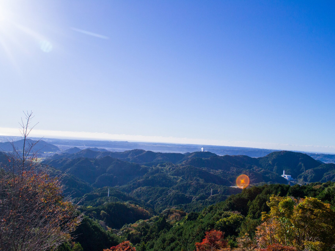 Sky Pension Doudan主图