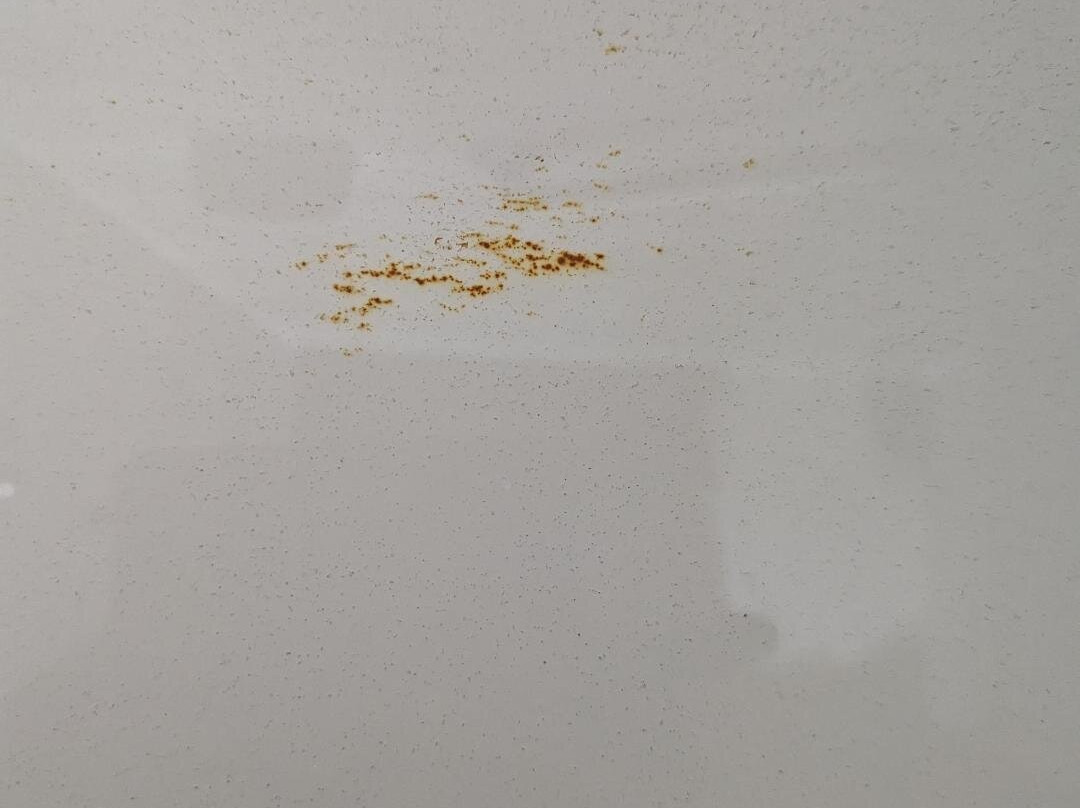 Best Western Murfreesboro主图