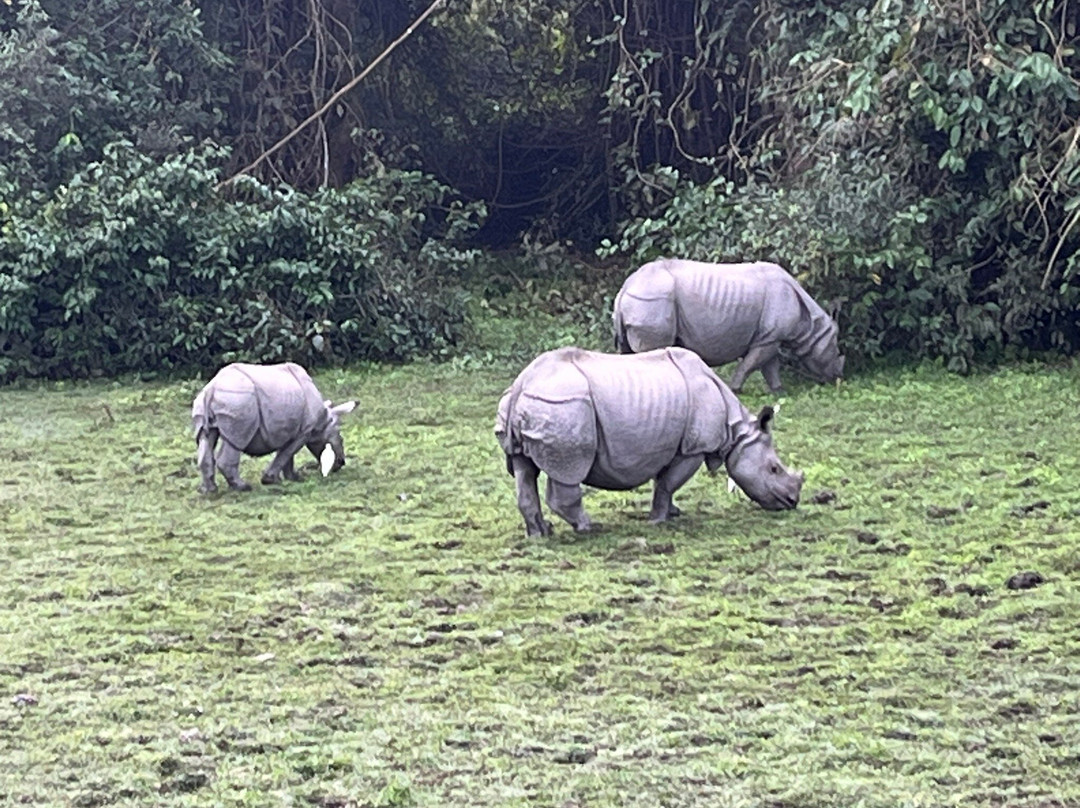 Kaziranga Adventures景点图片