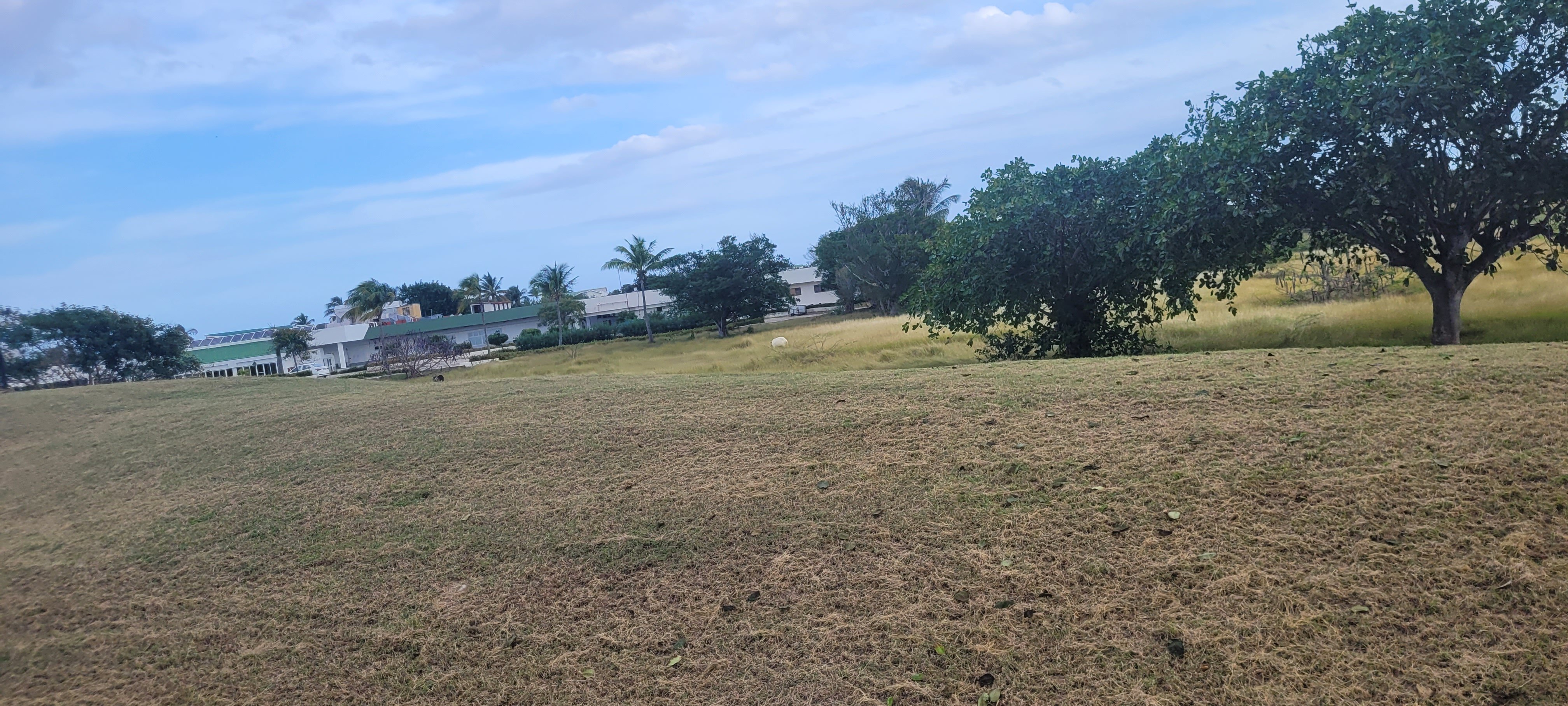 TRYP Cayo Coco-浴室